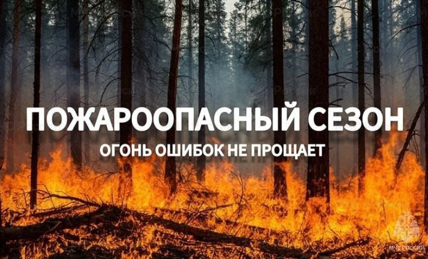 Начало пожароопасного сезона на территории лесного фонда Толочинского лесхоза!