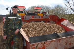 Пасадку бульбы пачалі на палях Талачынскага кансервавага завода 