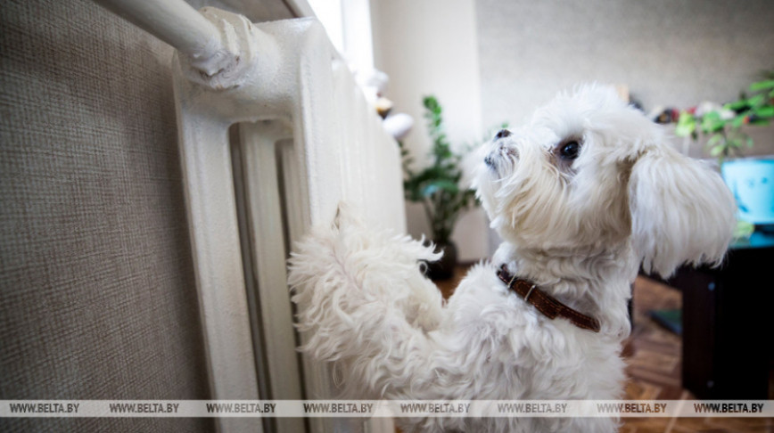 У жылым фондзе Віцебскай вобласці ацяпленне ўключаць 30 верасня
