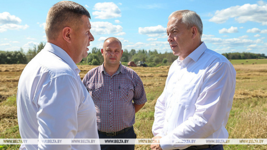 Уборачная кампанія, перспектывы развіцця рэгіёна. Ігар Сергяенка з рабочай паездкай наведаў Віцебскую вобласць