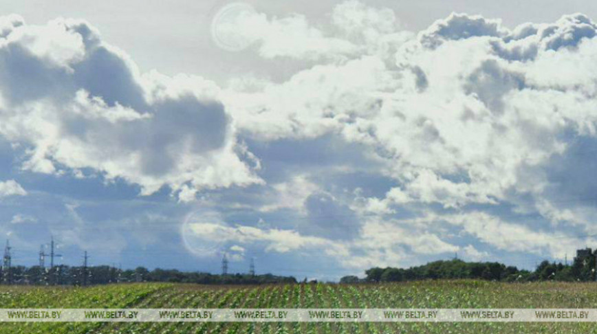 У Беларусі зніжаюцца выкіды забруджвальных рэчываў у паветра