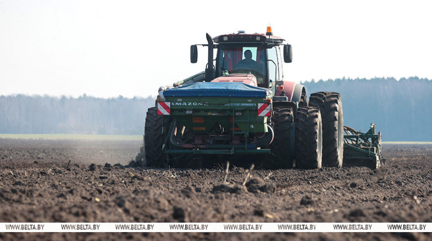 У Беларусі засеяна 16 працэнтаў плошчаў яравых культур
